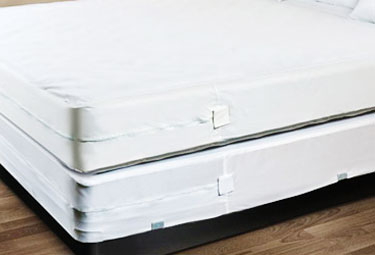 Bed bug proof mattress cover